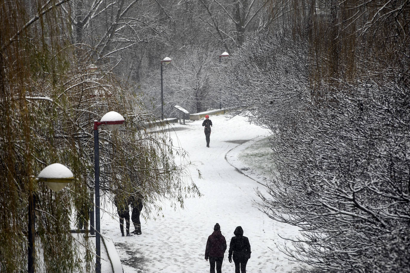 Fotos: La nieve cubre Logroño