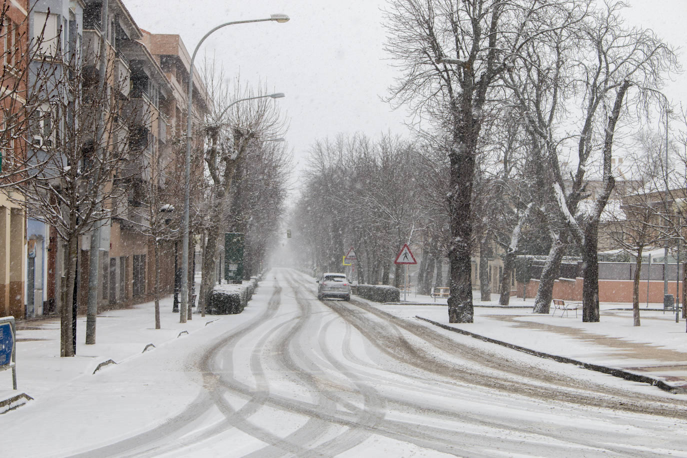 Fotos: Santo domingo se crubbre de nieve