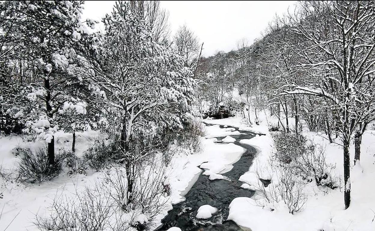 Parque Natural Sierra Cebollera, en Villoslada de Cameros, donde la nieve cubrió todo el arbolado y apenas dejó libre el hilillo de agua del riachuelo.