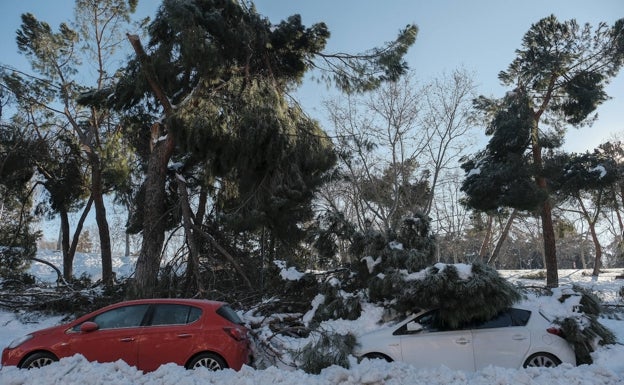 Un coche sufre el embate de un árbol derrumbado por el temporal. 