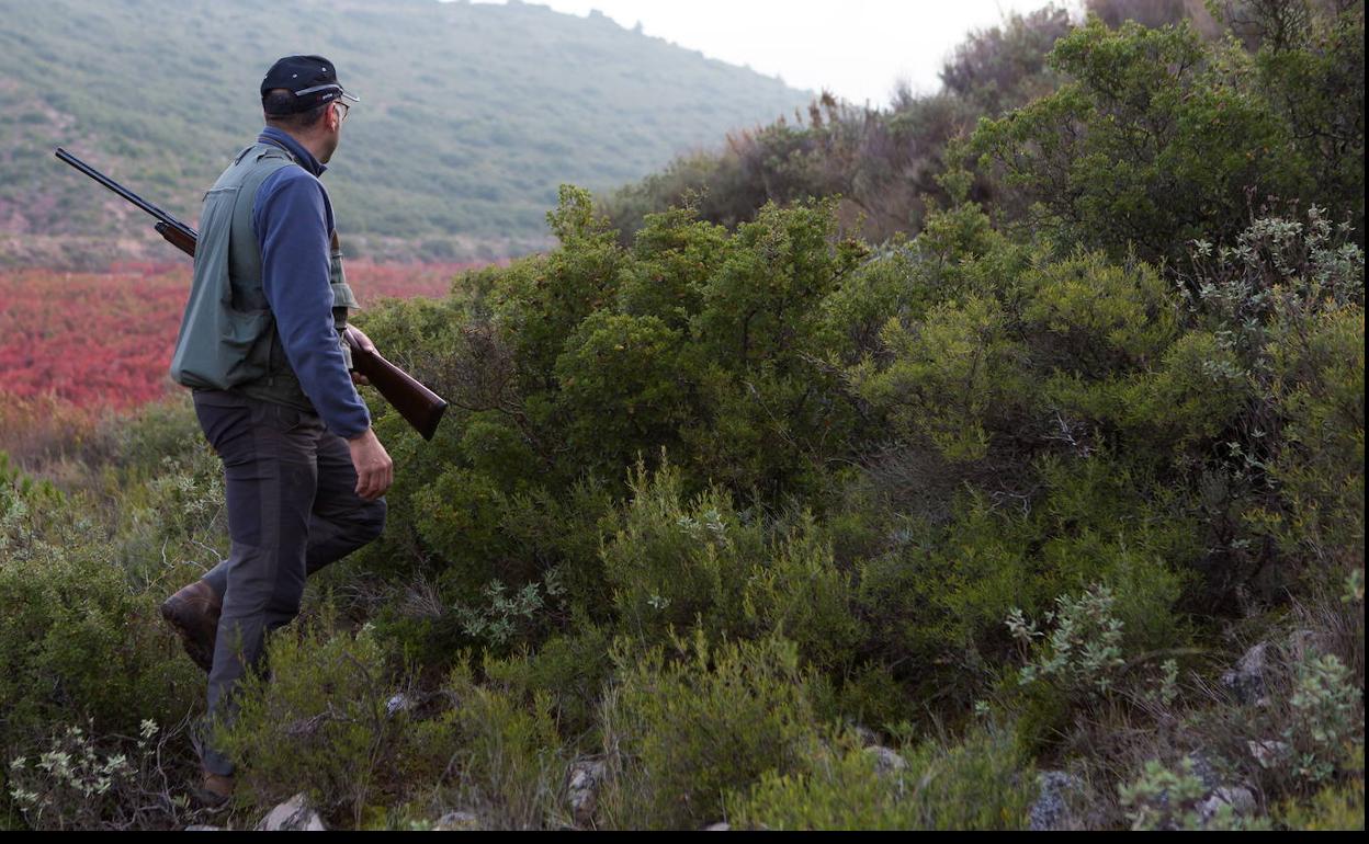 PP, Cs, PR+ y FRM piden al Gobierno que permita la caza para evitar daños en el campo