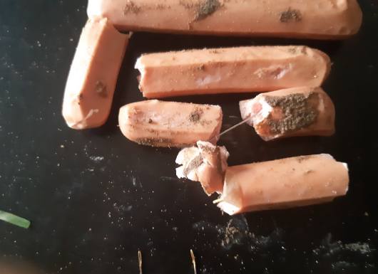 Mario Herrera también ha denunciado que intentaron matar a sus perros.