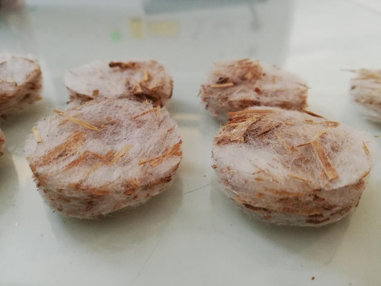 Probetas con material termofijado en los ensayos del proyecto de este consorcio riojano. 