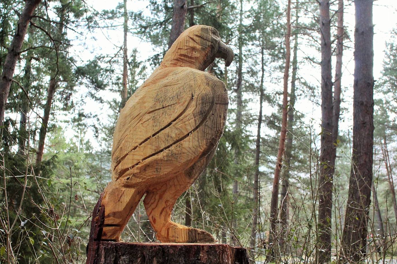 El espacio natural de Almarza de Cameros, repleto de bosques y senderos, flora y fauna, cuenta con nuevos alicientes para ser visitado