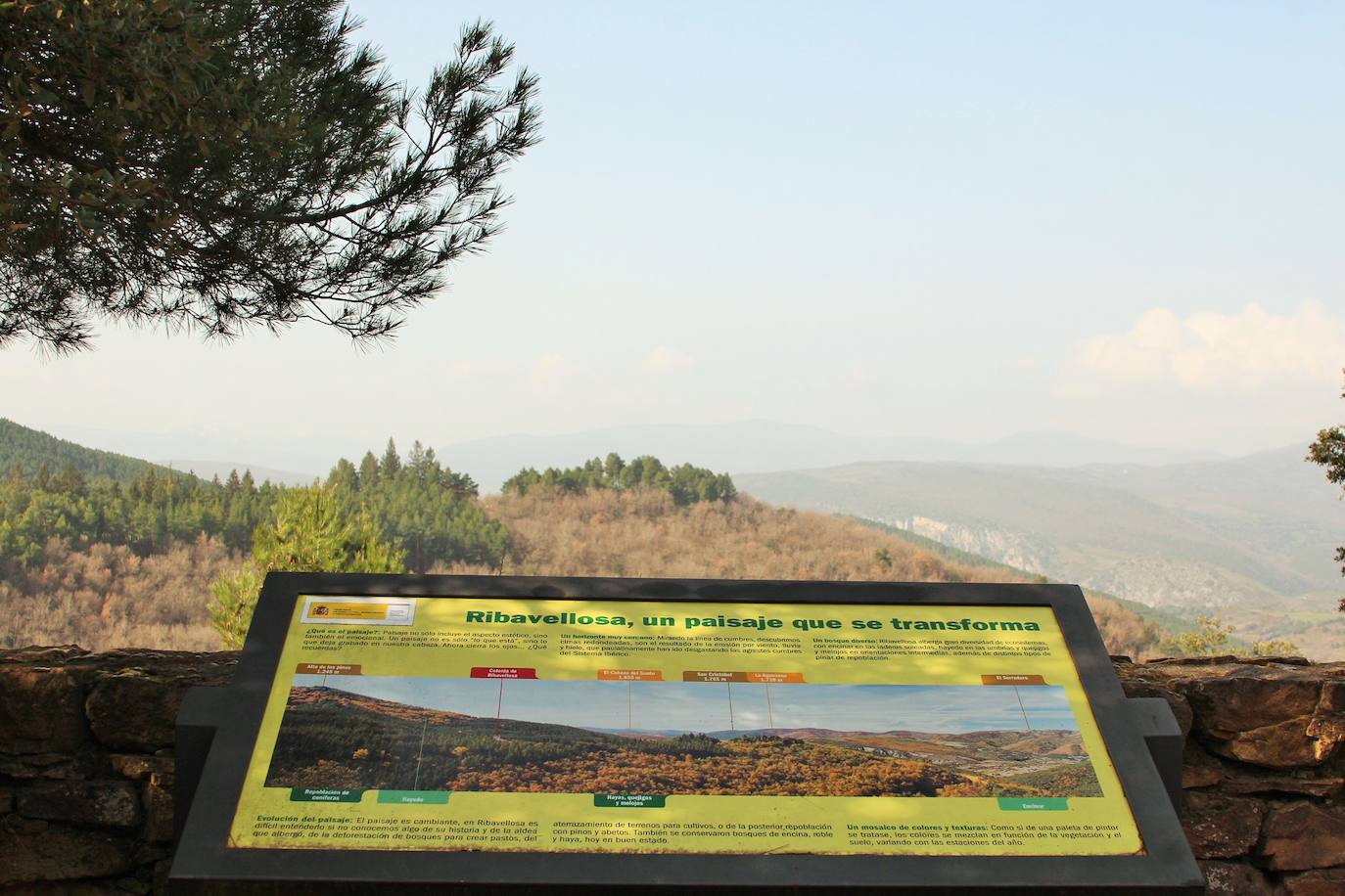 El espacio natural de Almarza de Cameros, repleto de bosques y senderos, flora y fauna, cuenta con nuevos alicientes para ser visitado