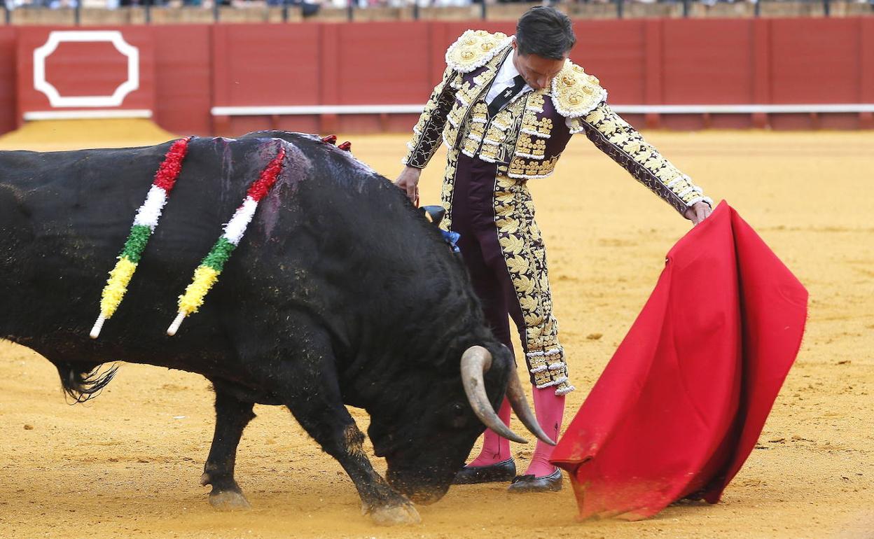 Una corrida anterior en Sevilla con el torero riojano. 