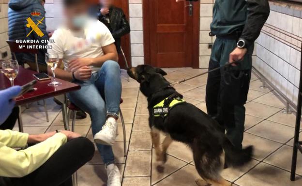 La Guardia Civil empleó un perro para encontrar la droga. 