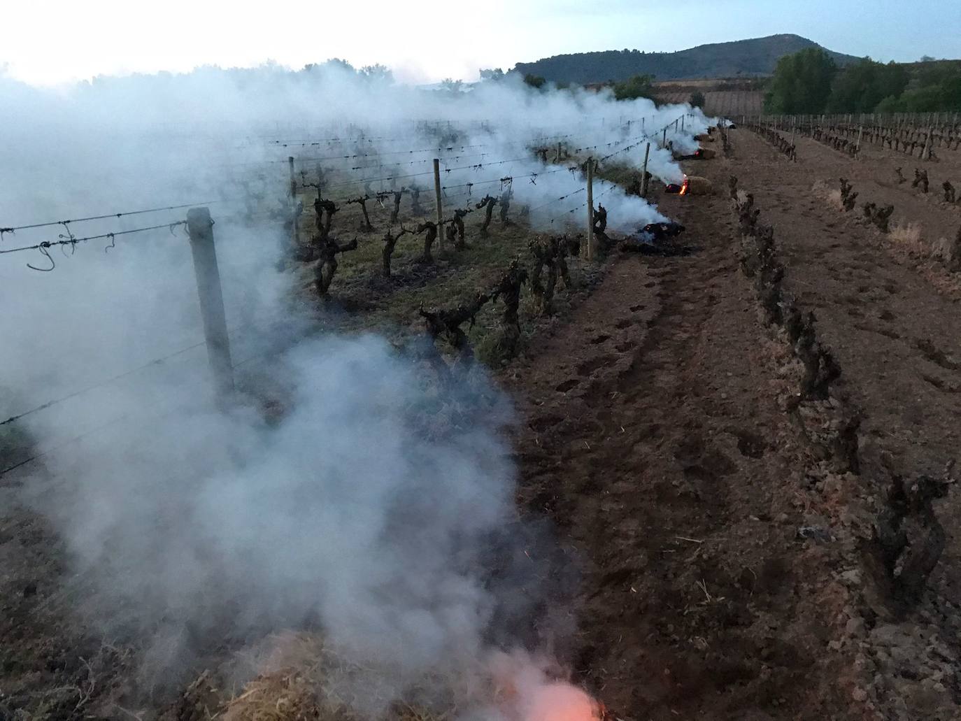 Hogueras de paja. Artuke utilizó en Baños de Ebro las hogueras de paja prensadas para generar cortinas de humo que minimicen los efectos de las bajas temperaturas.