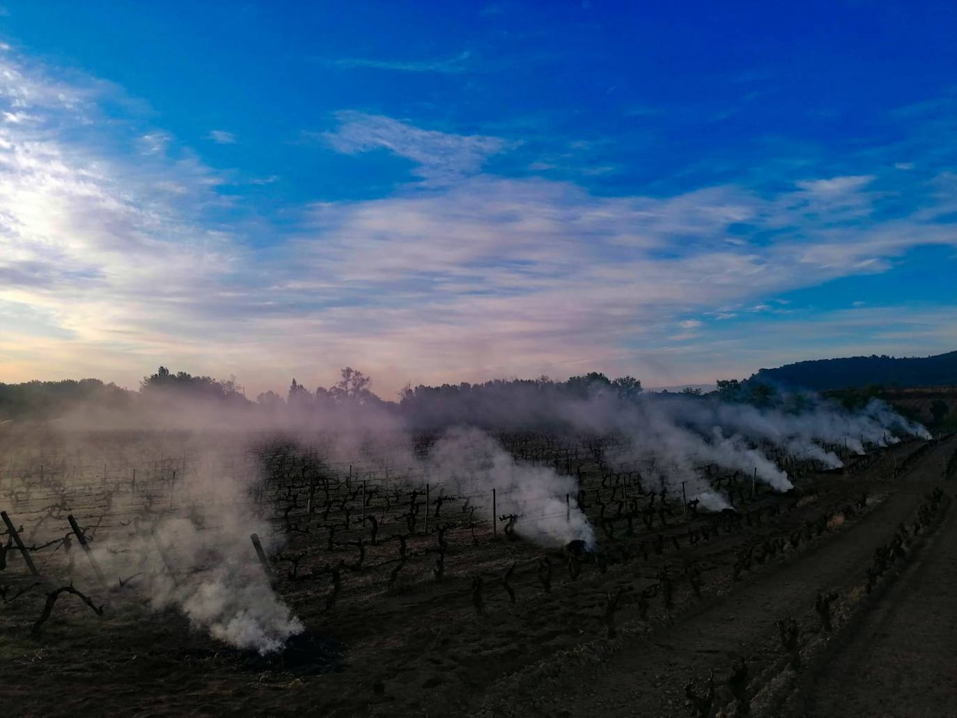 Hogueras de paja. Artuke utilizó en Baños de Ebro las hogueras de paja prensadas para generar cortinas de humo que minimicen los efectos de las bajas temperaturas.