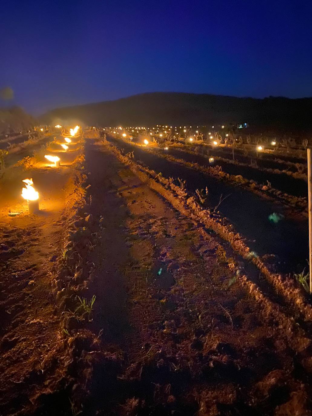 Velas en Cuba Negra. Bodegas Tierra (Labastida) recurrió a las hogueras para salvar la parcela de su vino El Belisario. De momento, pocos daños.