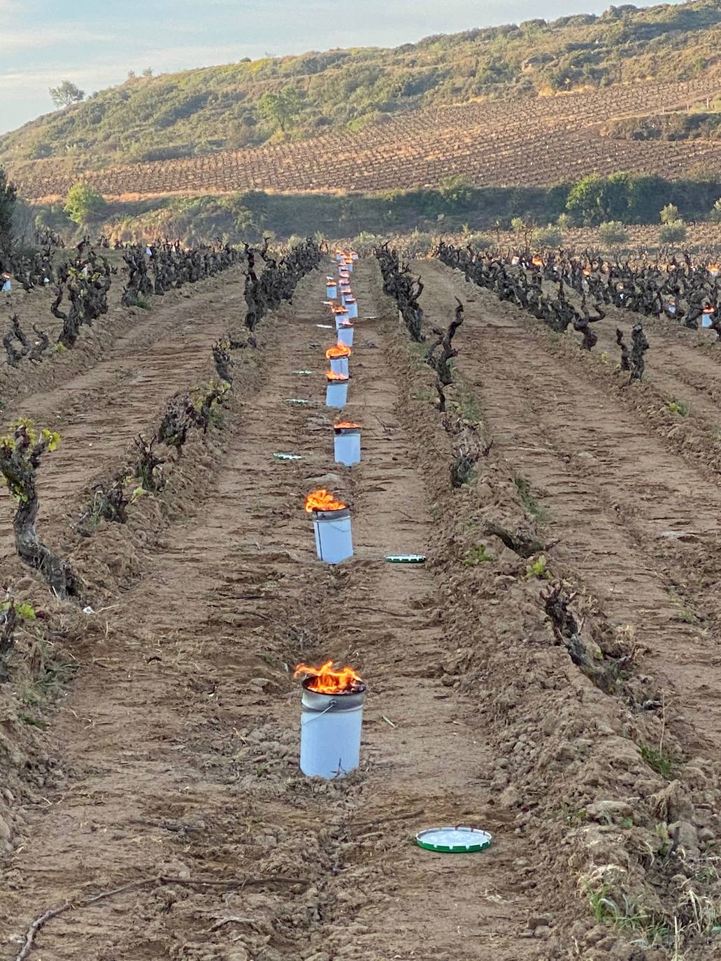 Velas en Cuba Negra. Bodegas Tierra (Labastida) recurrió a las hogueras para salvar la parcela de su vino El Belisario. De momento, pocos daños.