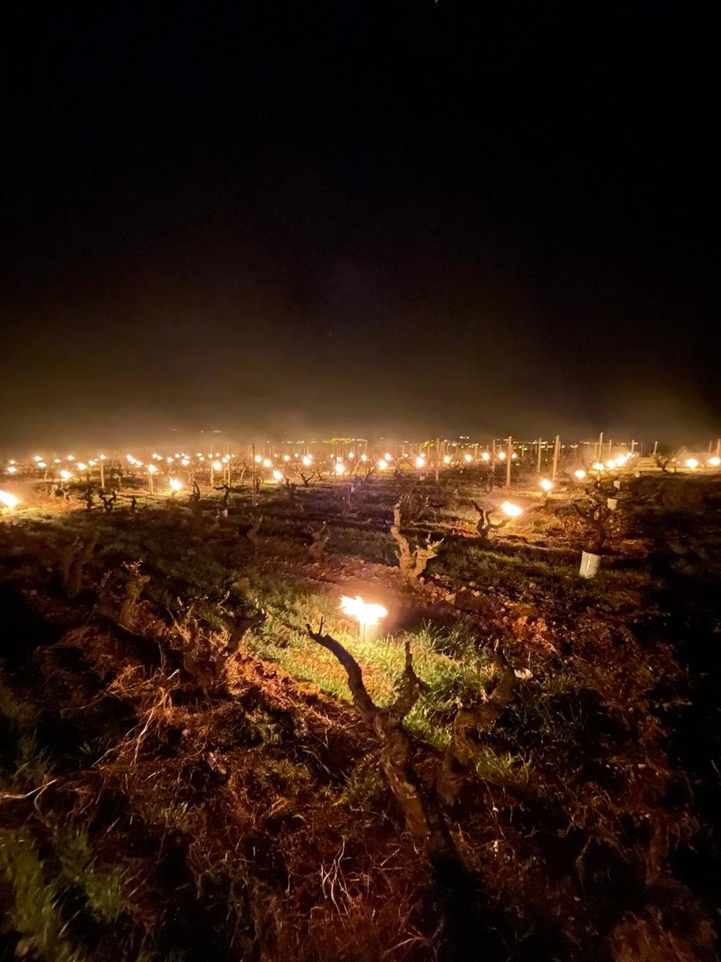 Velas de fuego en Bodegas Tierra, paja ardiendo entre los viñedos Artuke, tratamientos preventivos en Exopto..., espectaculares imágenes de una noche larga que, parece, se salva sin apenas daños