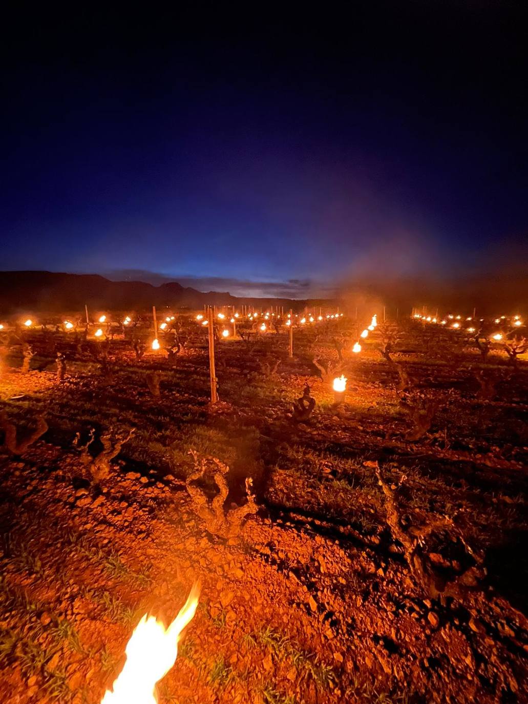 Velas de fuego en Bodegas Tierra, paja ardiendo entre los viñedos Artuke, tratamientos preventivos en Exopto..., espectaculares imágenes de una noche larga que, parece, se salva sin apenas daños