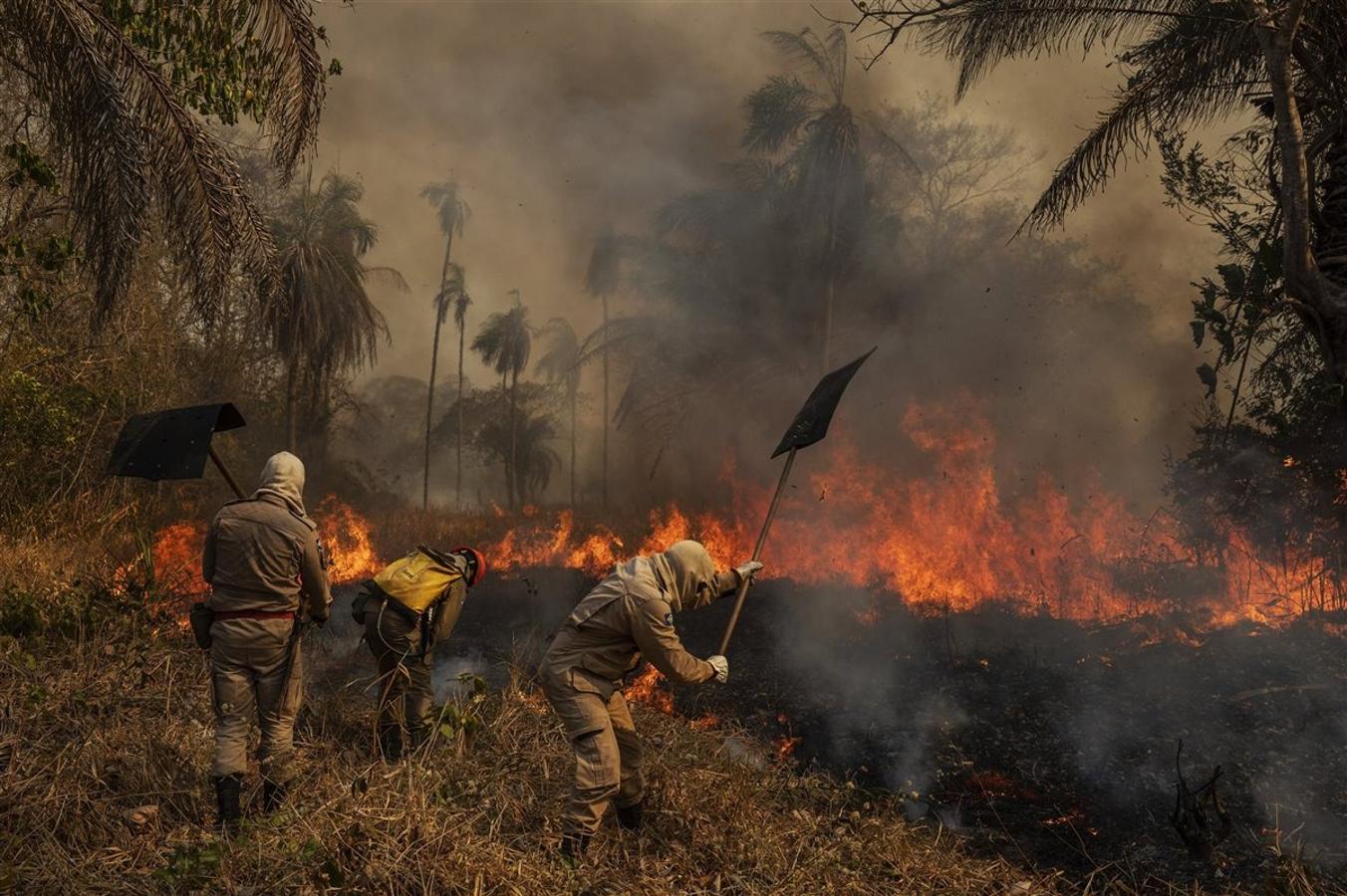 Medio Ambiente, mejor reportaje gráfico. Un grupo de bomberos trata de apagar en una reserva natural uno de los fuegos que han asolado Brasil a lo largo de 2020. 