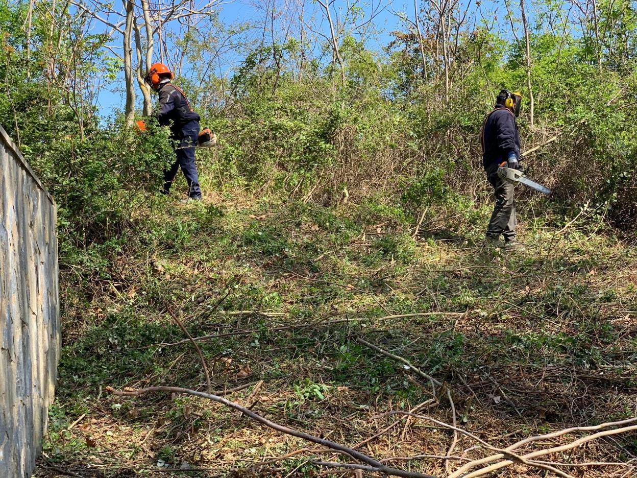 Trabajadores de la brigada municipal de obras, realizando labores de desbroce en el canal viejo. 