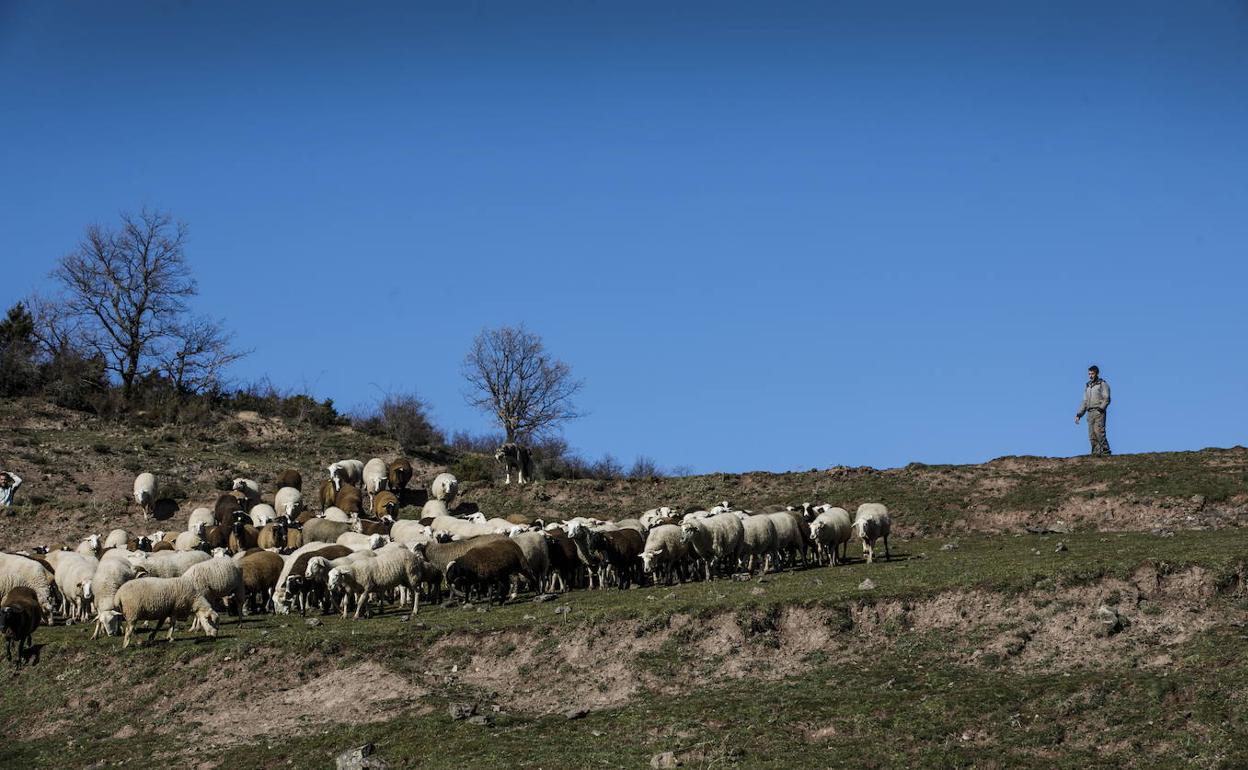 Más de 1,4 millones de euros para programas de desarrollo rural en La Rioja