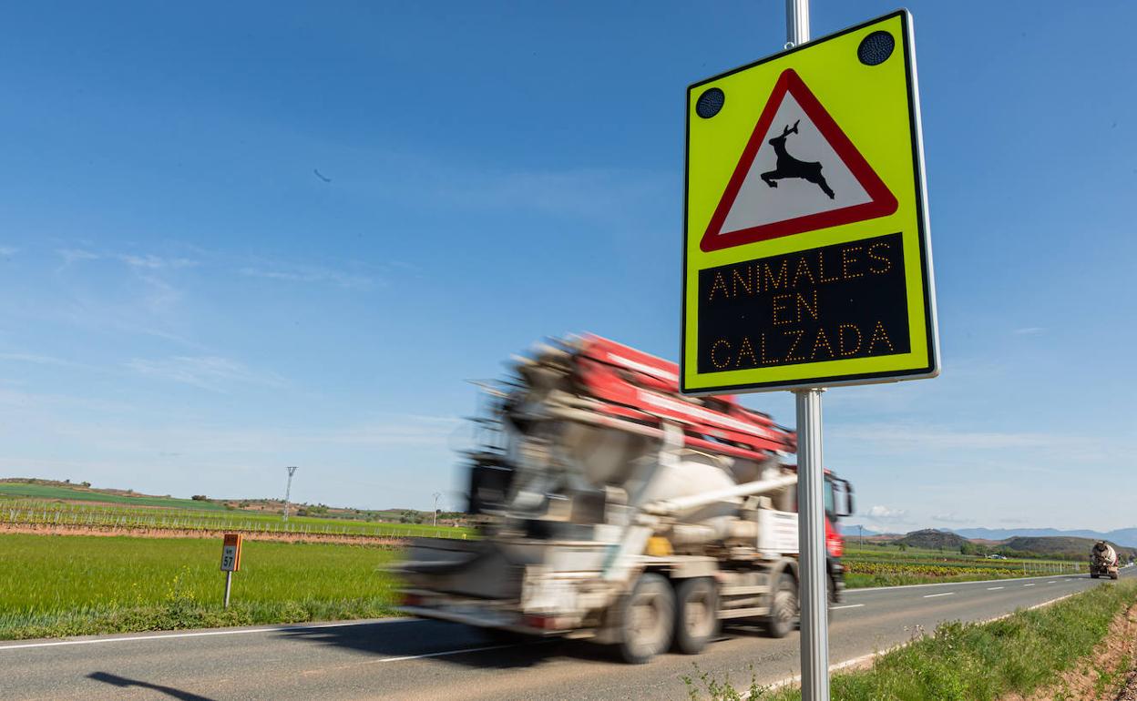 Se pone en marcha un proyecto de pasos para fauna silvestre para prevenir accidentes en la LR-113