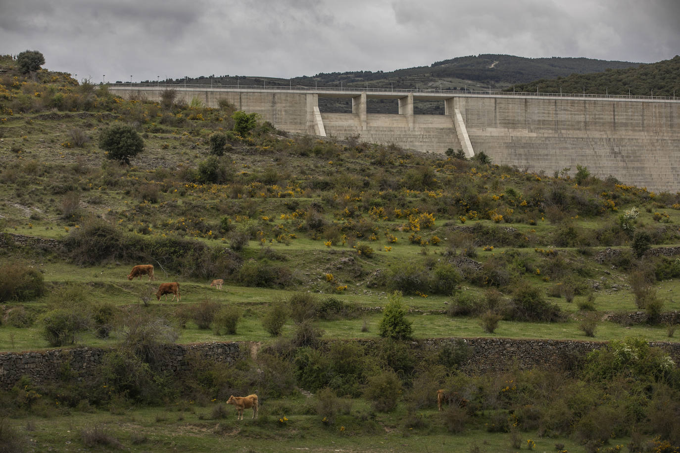 La infraestructura ya en su fase siete de este proceso de puesta en carga