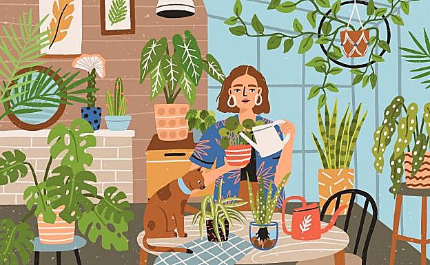 Nueve trucos para regar las plantas sin ahogarlas