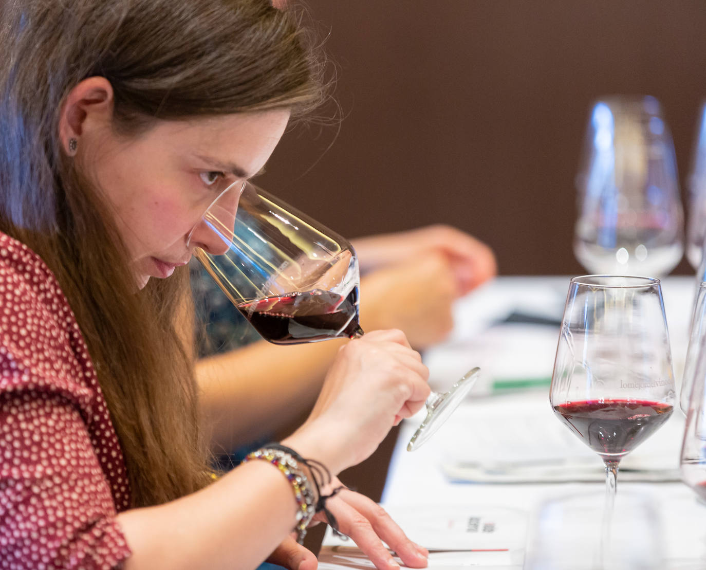 Bodegas Valdelacierva presentó anoche en los salones del Restaurante Delicatto la colección casi completa de sus elaboraciones de Rioja para el club de catas de lomejordelvinoderioja.com