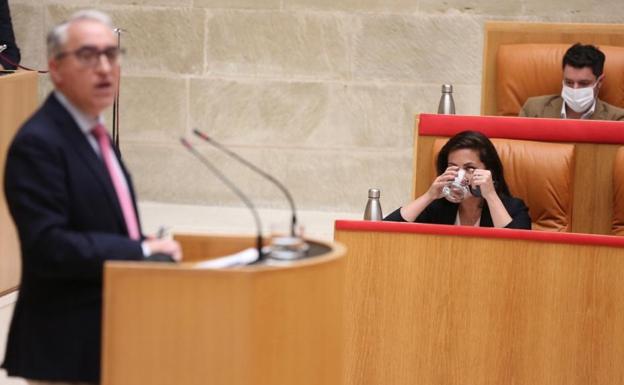 Pleno del Parlamento de La Rioja de este jueves. 