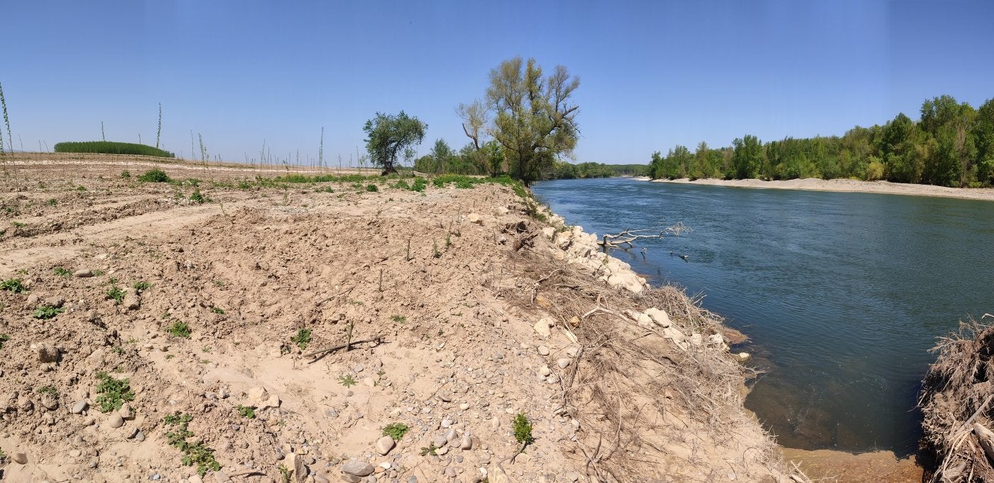 Primer retranqueo. La actuación del Ebro Resilience en La Nava ha dado más espacio al río para expandirse en caso de crecida. 