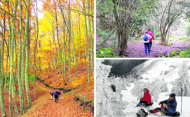 Paseo por hayedos entre Ezcaray y San Millán., Cruz de Motrico por la senda de las Ferreras y salida invernal en el Otero, en la Sierra de la Demanda. 