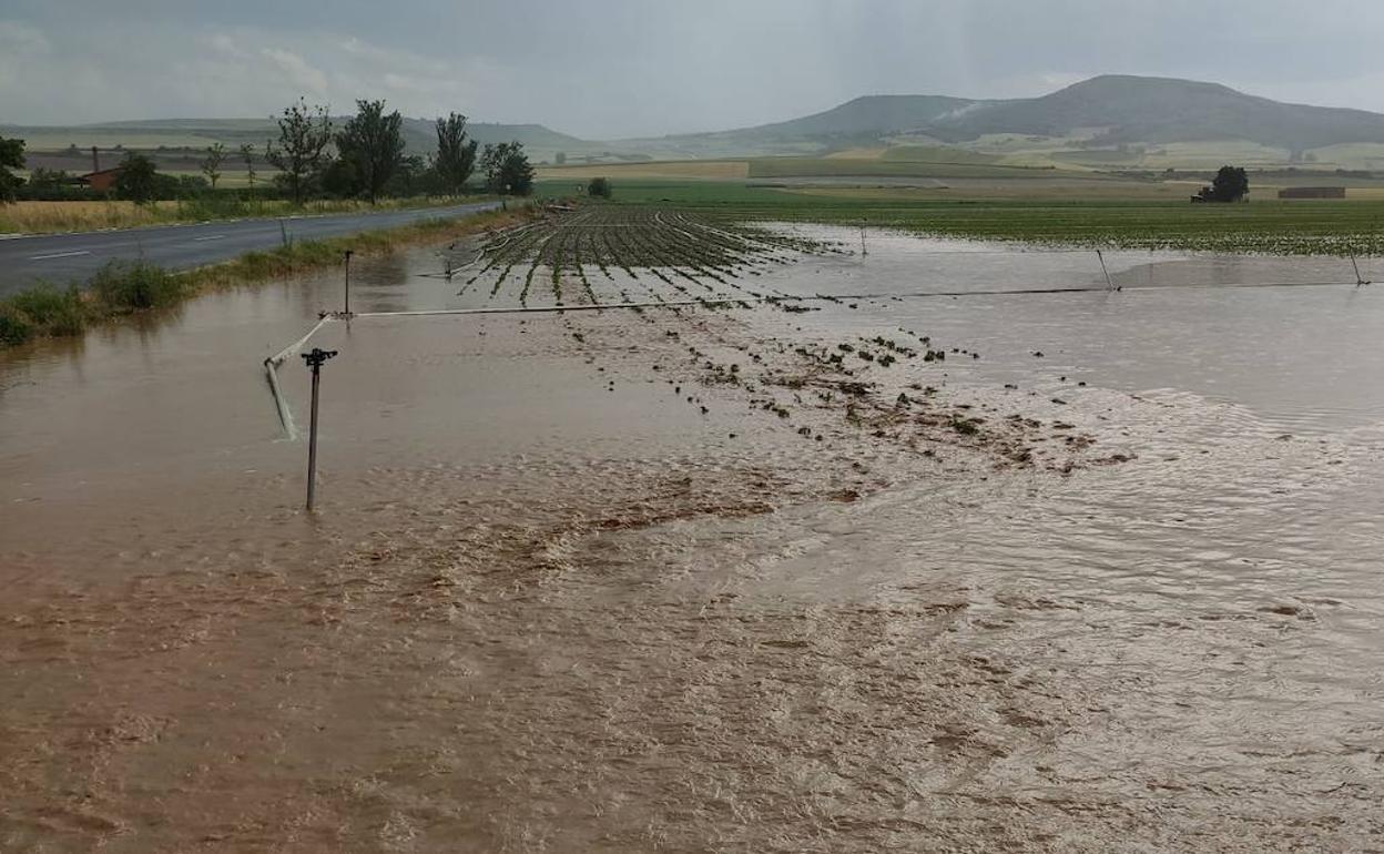 Imagen de un terreno situado junto a la carretera de Gallinero. 