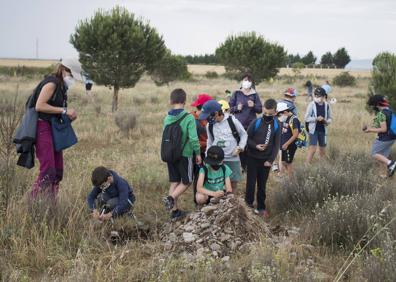 Imagen secundaria 1 - El club Sampol y el CEIP Hermosilla plantan cerca de 200 encinas en la ribera del Oja