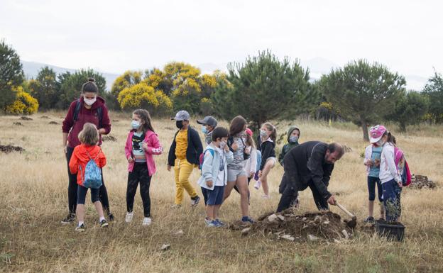 Imagen principal - El club Sampol y el CEIP Hermosilla plantan cerca de 200 encinas en la ribera del Oja