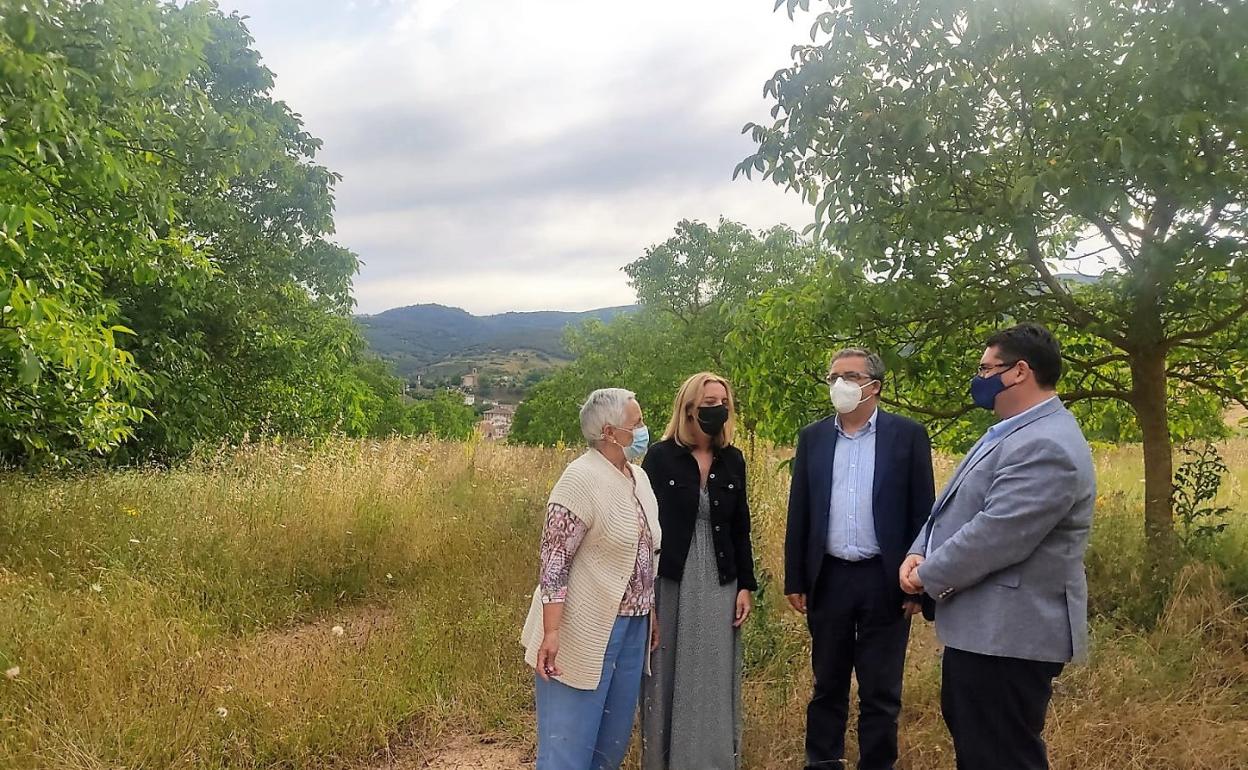 Natividad Hernando, María Somalo, Pablo Rubio y Sergio Martínez, en la parcela de Fuente Tapia. 