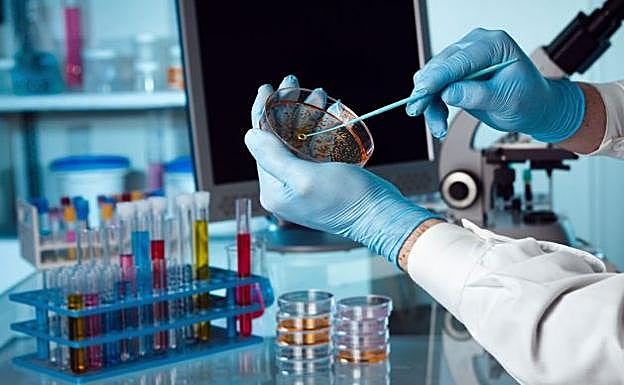 Un investigador trabaja en un laboratorio. 