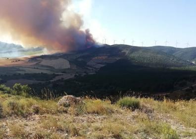 Imagen secundaria 1 - El primer gran incendio de la temporada en La Rioja quema hasta el momento 200 hectáreas de las laderas del Monte Yerga