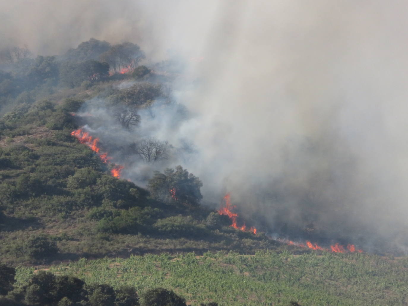 Fotos: El incendio de Yerga