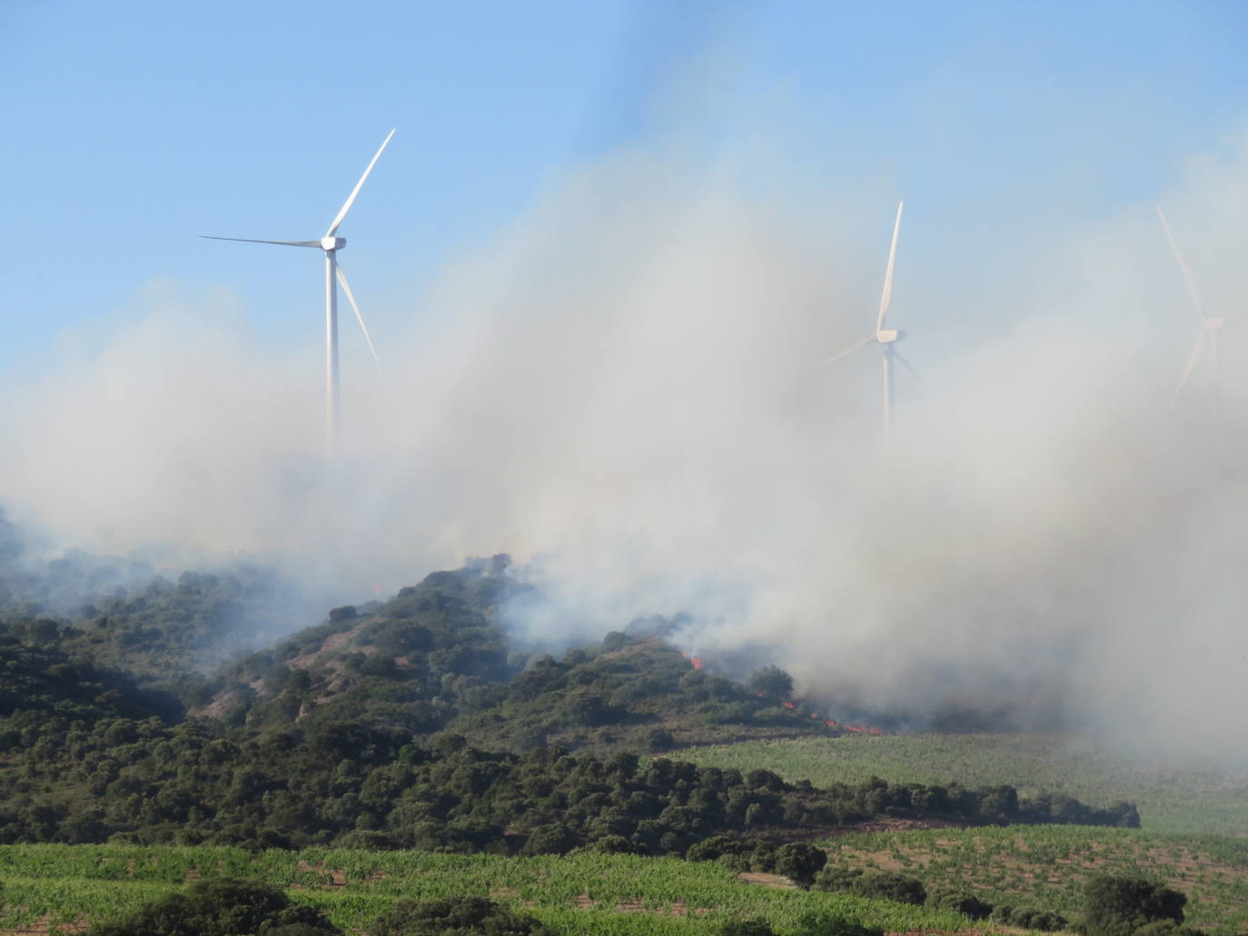 Fotos: El incendio de Yerga