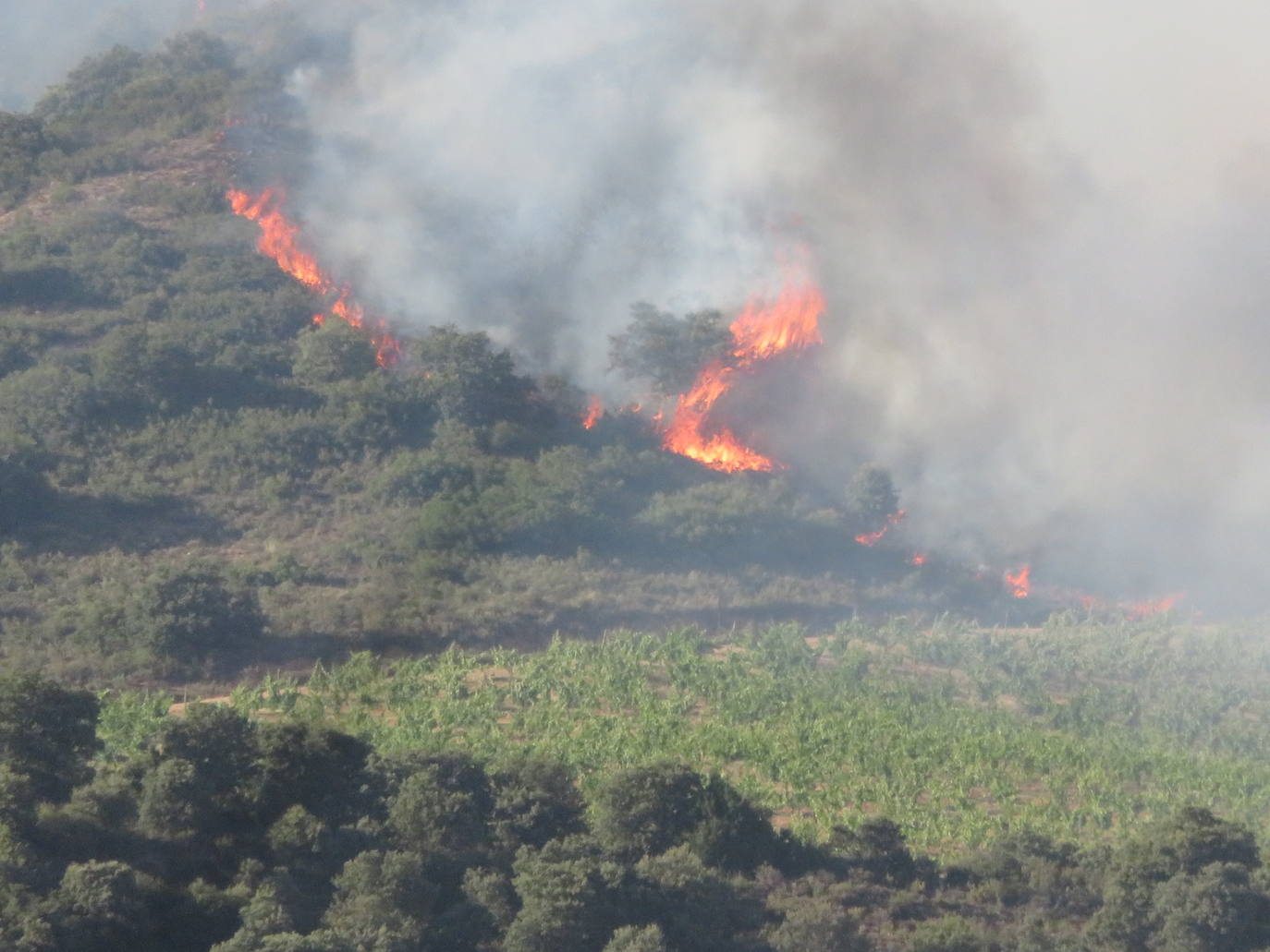 Fotos: El incendio de Yerga