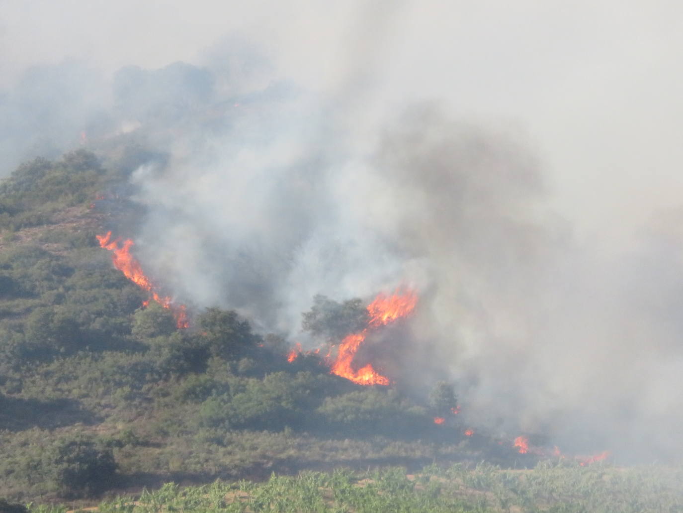 Fotos: El incendio de Yerga