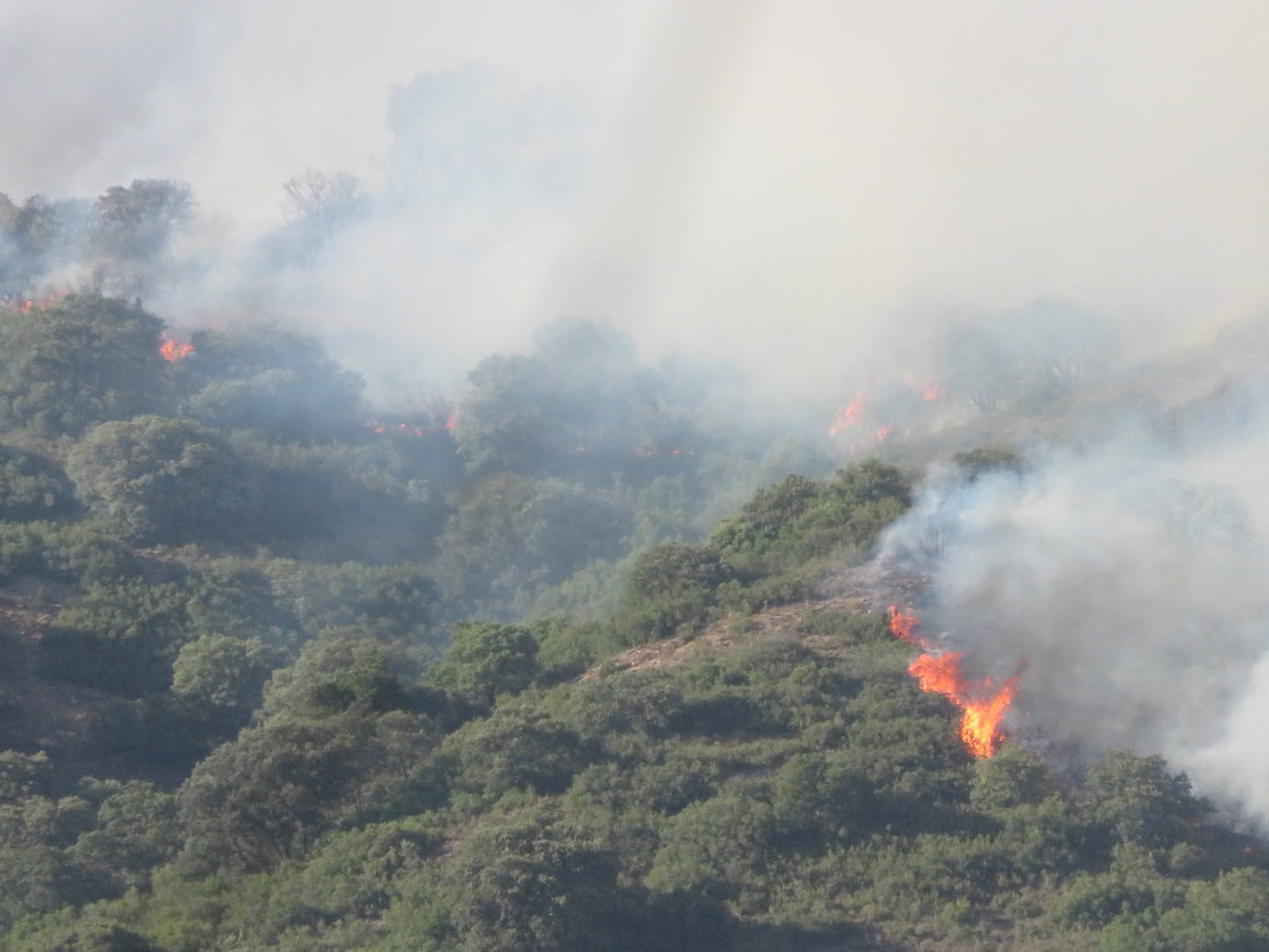 Fotos: El incendio de Yerga