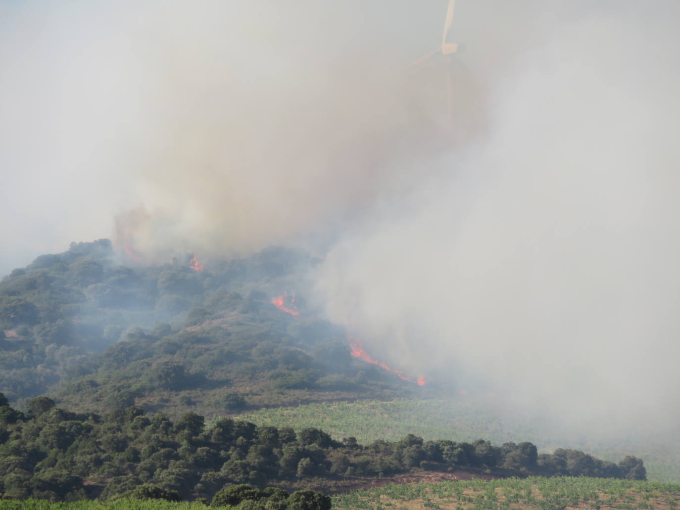 Fotos: El incendio de Yerga