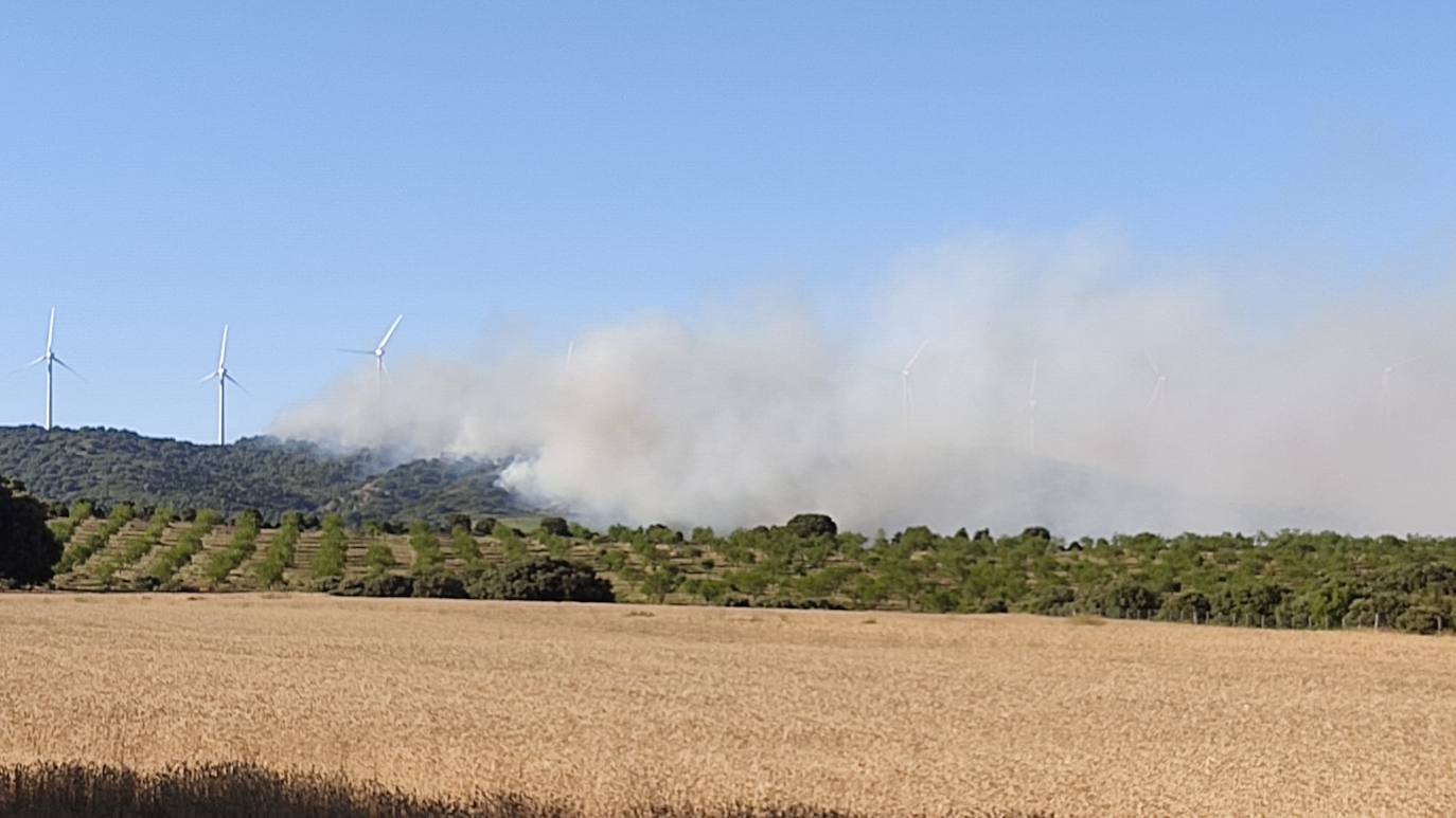 Incendio en Yerga: una columna que se ve desde kilómetros