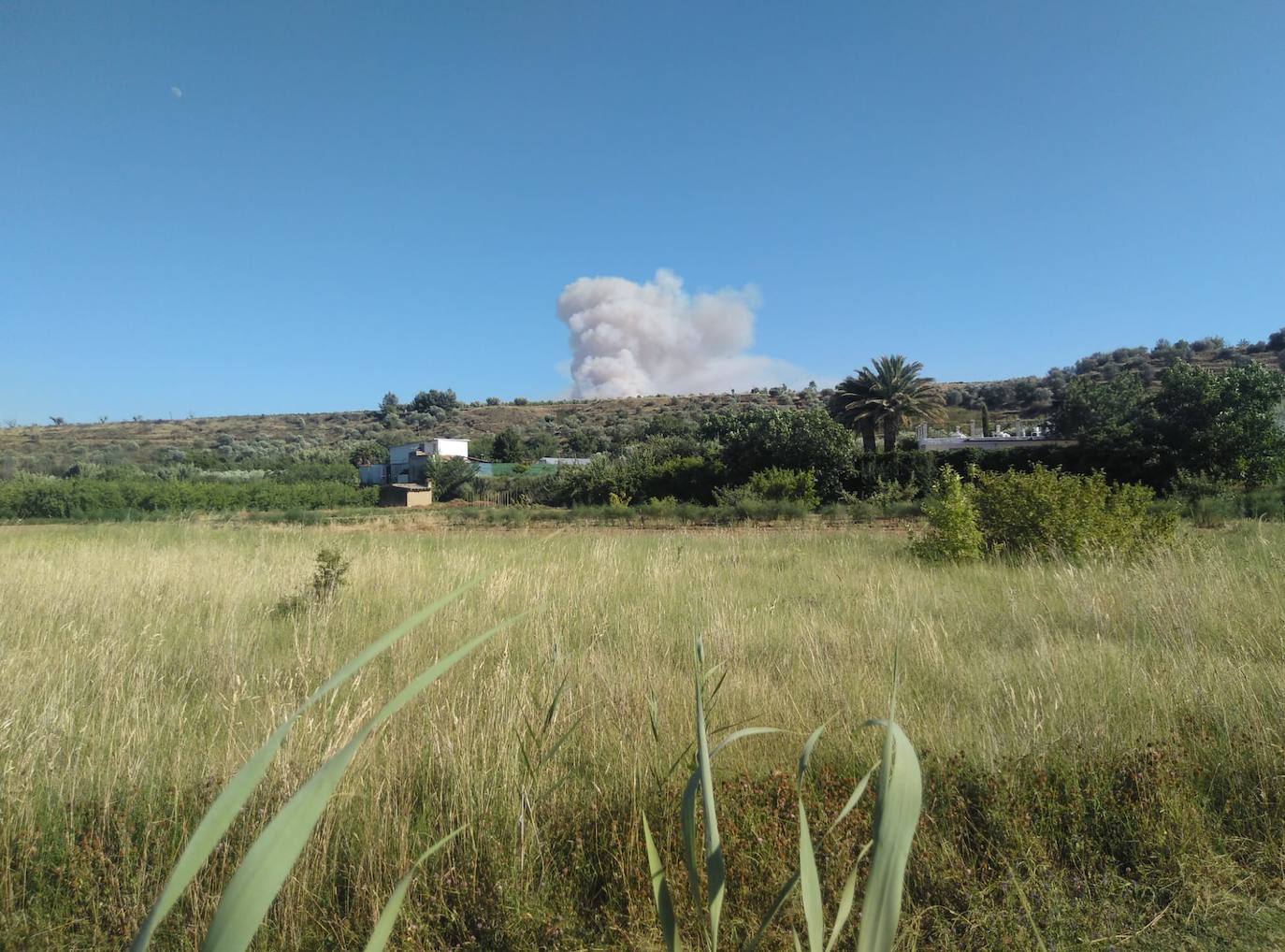 Incendio en Yerga: una columna que se ve desde kilómetros