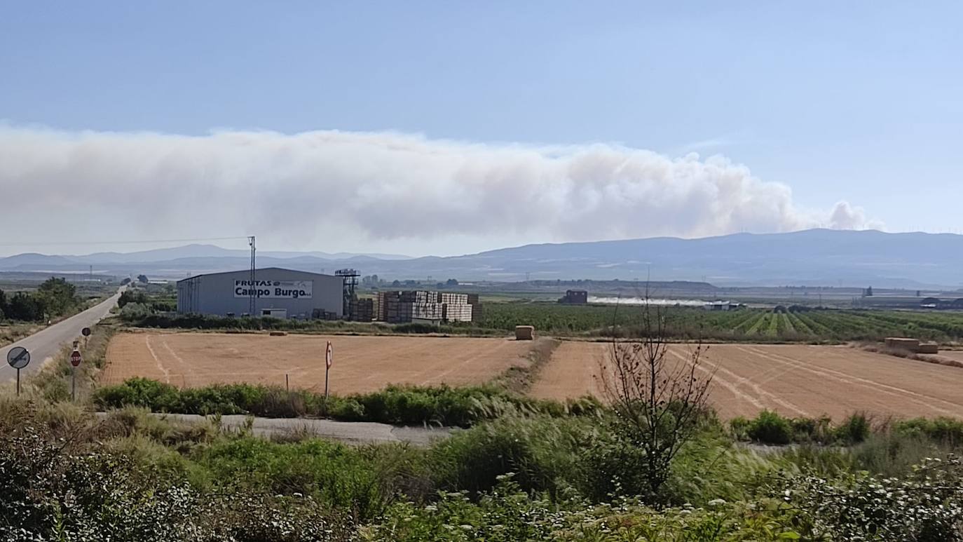 Incendio en Yerga: una columna que se ve desde kilómetros