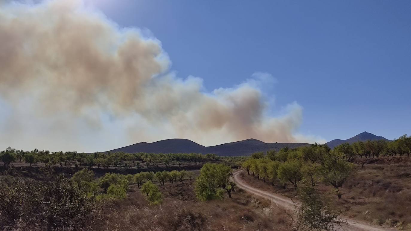 Incendio en Yerga: una columna que se ve desde kilómetros