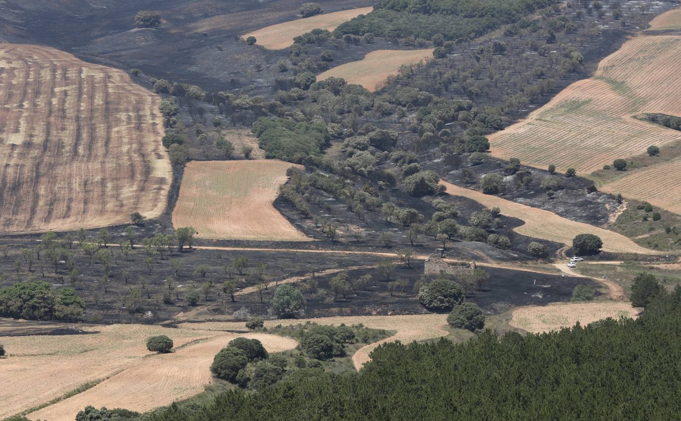 Fotos: La lucha contra el fuego, también el lunes