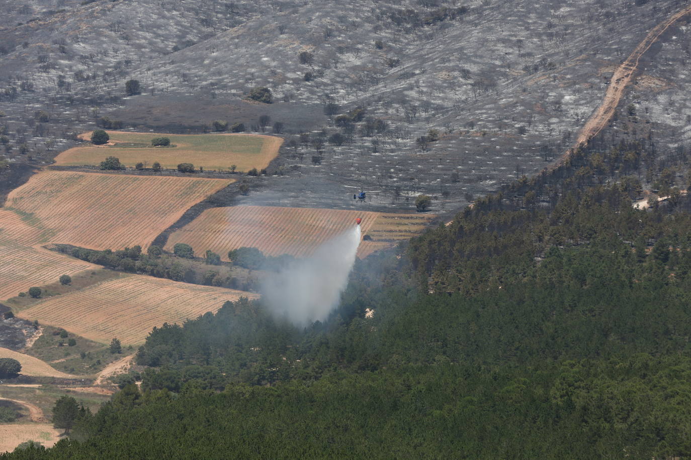 Fotos: La lucha contra el fuego, también el lunes