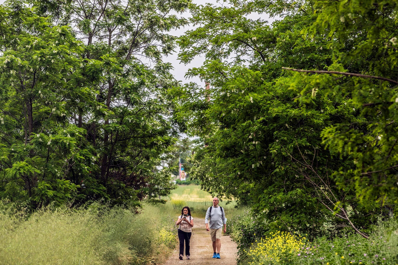 Fotos: Tercera etapa del Camino de Santiago: de Santo Domingo a Grañón