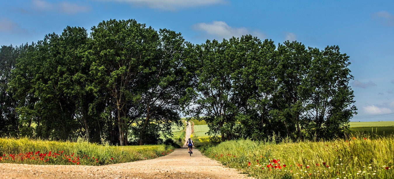 Fotos: Tercera etapa del Camino de Santiago: de Santo Domingo a Grañón