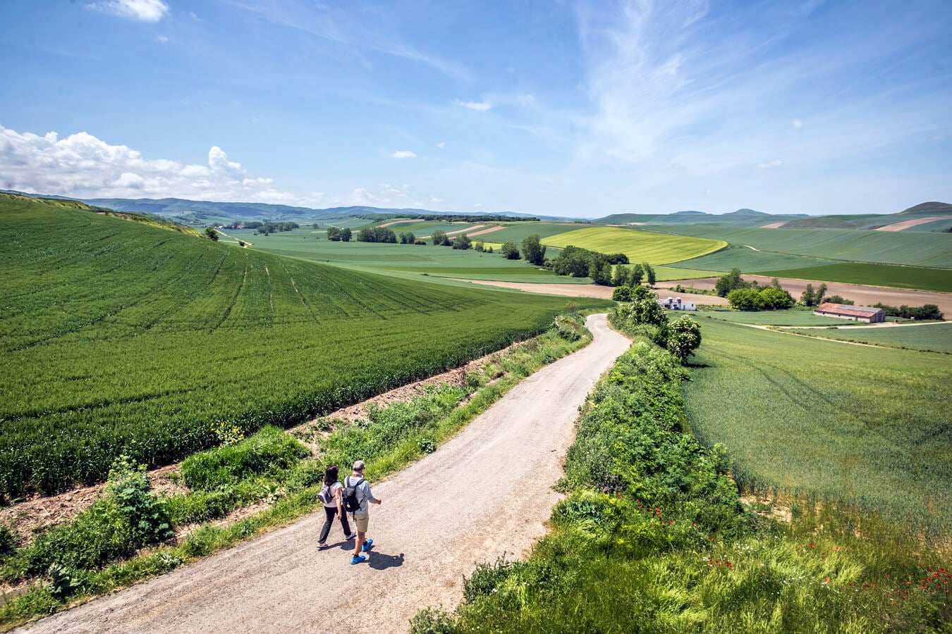 Fotos: Tercera etapa del Camino de Santiago: de Santo Domingo a Grañón