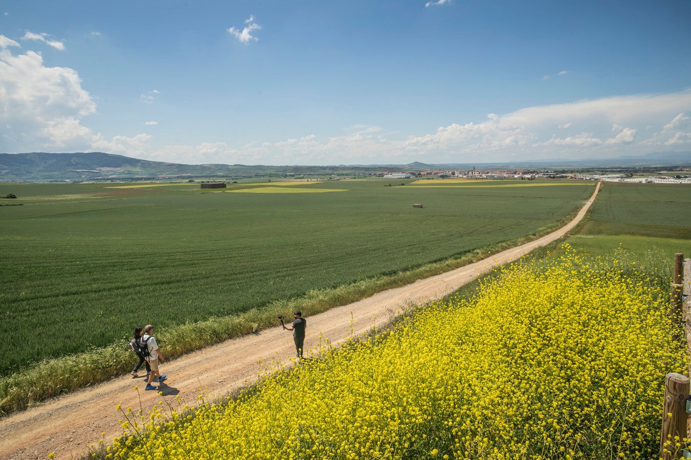 Fotos: Segunda etapa del Camino de Santiago: almazuela de olores y de colores