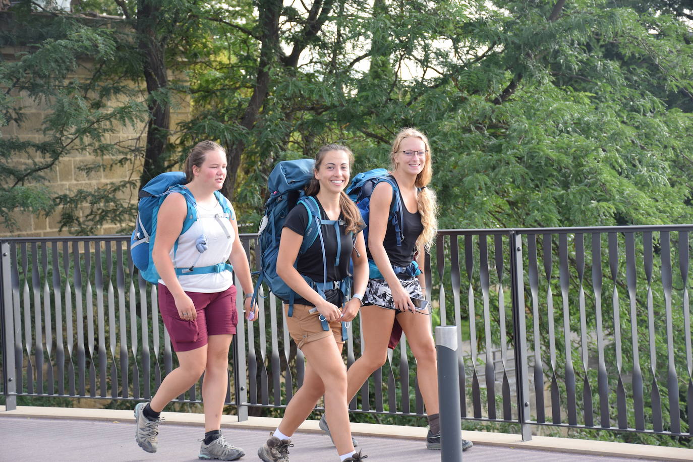 Fotos: El Camino de Santiago, sin salir de Logroño